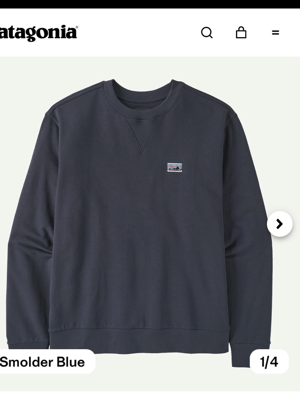 Patagonia daily crewneck sweater